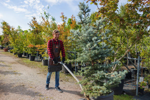 Best Weed Control  in Caledonia, MN